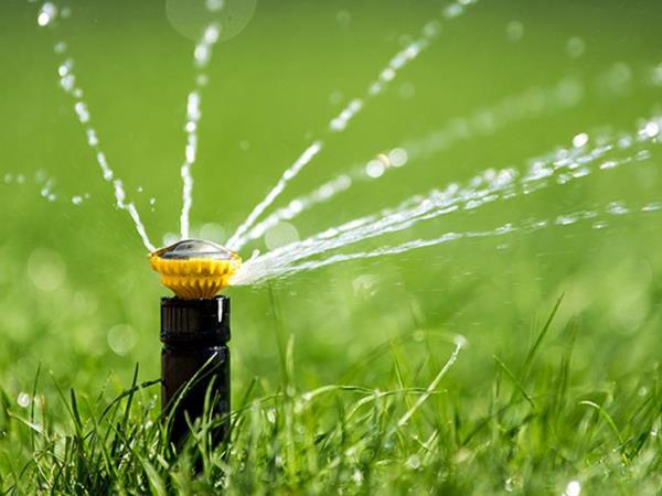 مزارع غازي الجبالي للخضار والفواكه JPG