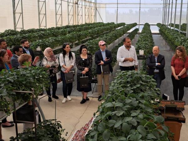 شركة الجودة المثالية للزراعة  JPG