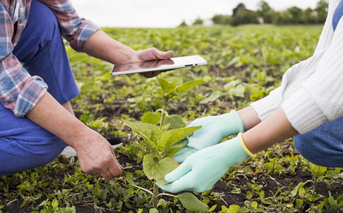 Agricultural Consultations
