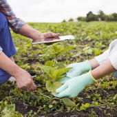 Agricultural Consultations