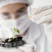 Plant Nutrition Solutions