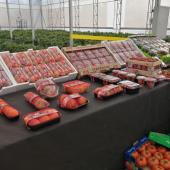 Agricultural Crop Marketing