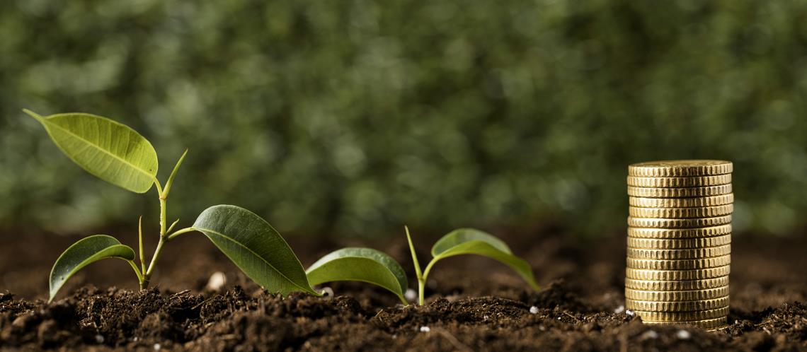 The Financial Department