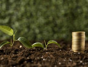 The Financial Department