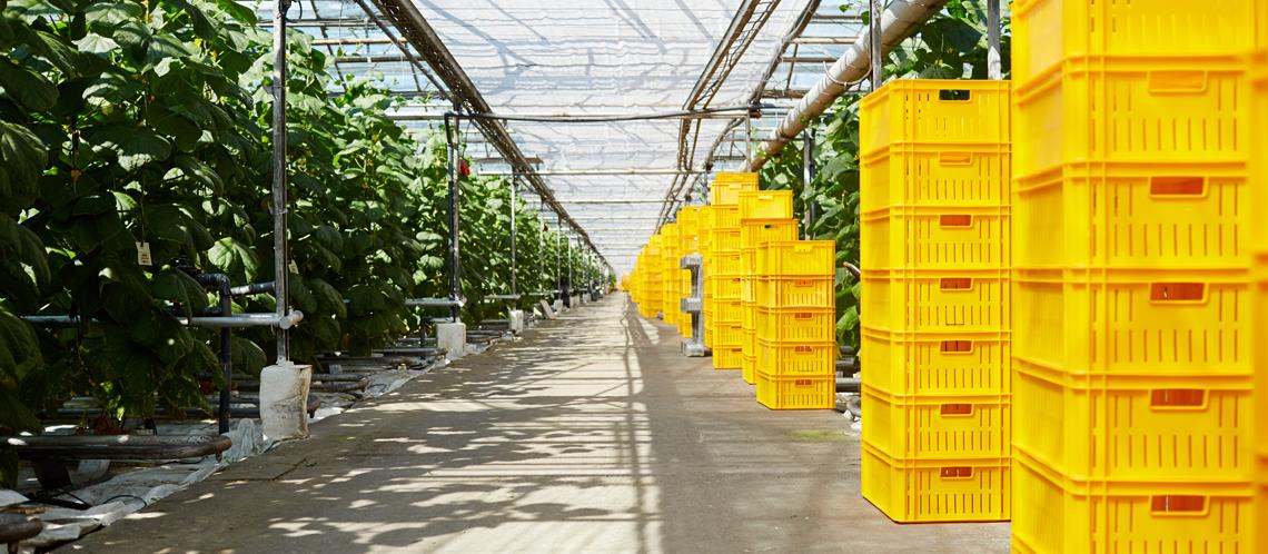 The Commercial Department