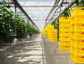 The Commercial Department