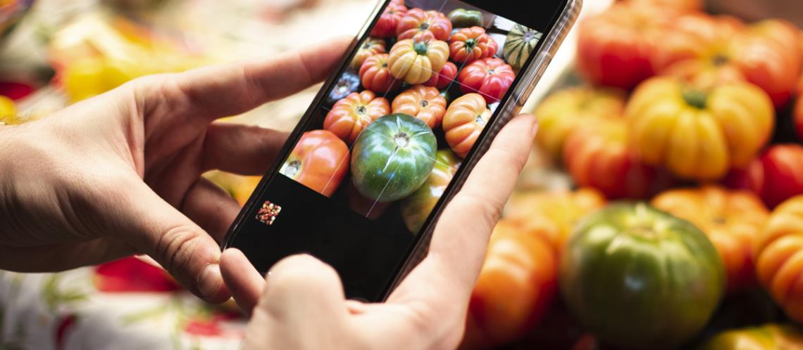 Marketing and Business Development Department