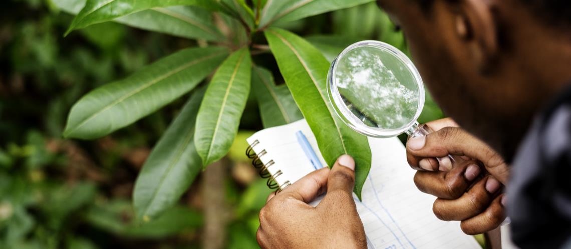 Agricultural Research and Development Department