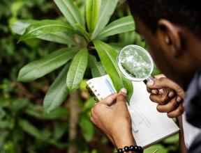 Agricultural Research and Development Department