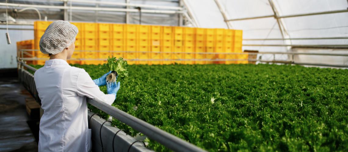 The Intersection of Agriculture and Manufacturing