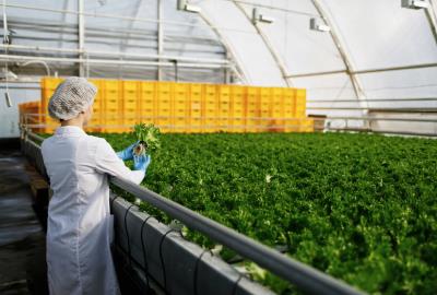 The Intersection of Agriculture and Manufacturing