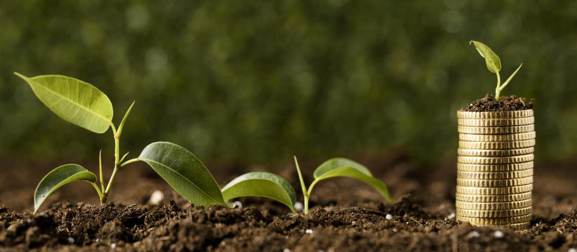 Investments Opportunities