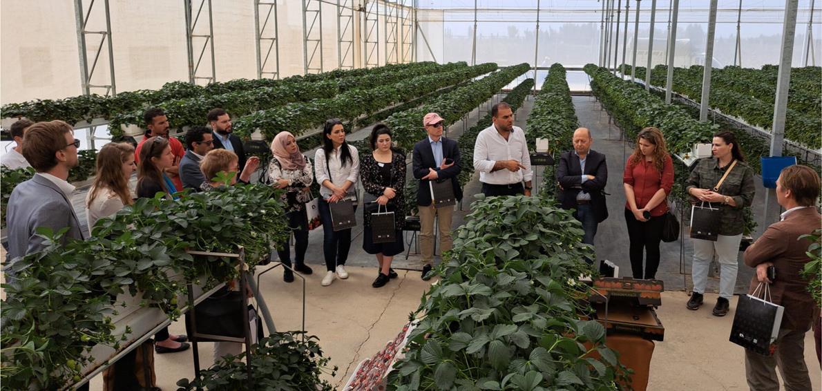 Ideal Quality Agriculture (IQA) Imag Large