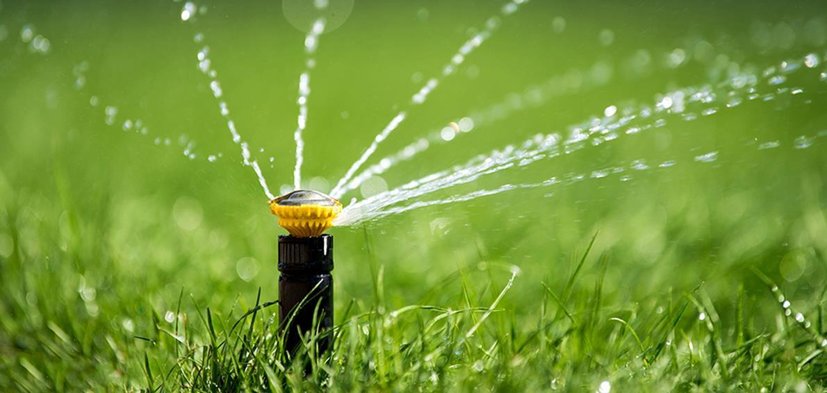 Ghazi Al Jabaly Farms for Vegetables and Fruits Imag Large