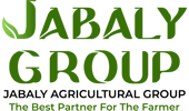 تعتبر شركات مجموعة الجبالي الزراعية حاليا من رواد الشركات الزراعية على المستوى المحلي و الاقليمي