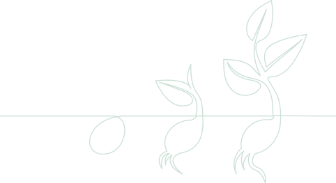 الأخبار و الأحداث